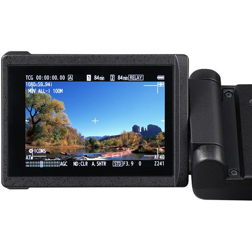 Panasonic AG-CX350 4K Camcorder NTSC/PAL with Sandisk 64GB Memory Card & Large Camcorder Carrying Case