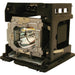 Optoma Technology BL-FP330B Replacement Projector Lamp