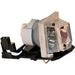 Optoma BL-FP280G Genuine Optoma Lamp. Lamp Assembly BLFP280G