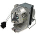 Optoma BL-FP210A Genuine Optoma Lamp. Lamp Assembly (SP.70201GC01) BLFP210A