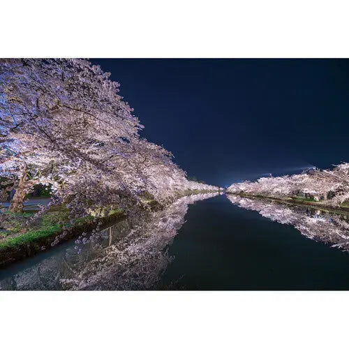 Sigma 14mm f/1.4 DG DN Art Lens (Sony E)