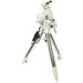 Precision Sky-Watcher EQ6-R Pro GoTo Equatorial Mount with Stable Tripod