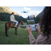DJI Mini 4 Pro Drone with RC-N2 Controller – 4K Video, 48MP Stills