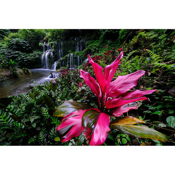 Fujifilm X-S20 Mirrorless Camera with XC 15-45mm f/3.5-5.6 OIS PZ Lens, Bundle with 2x 256GB Memory Card and Battery, 52mm Filter Kit and Shoulder Bag + More