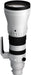 Sigma 300-600mm F4 DG OS Sports Lens Leica L White 598969