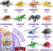 60 Piece Mini Insect Toys with Gift Box, Plastic Bug Figure for Kids, Fake Bug Theme Party Decoration, School Project Sensory Bins, Classroom Reward, Halloween Goody Bag Filler Gift, Cupcake Topper