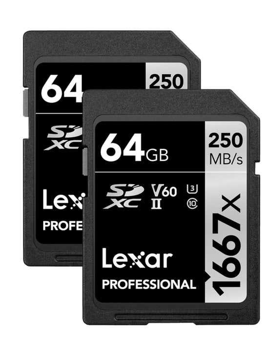Lexar 256GB (2-Pack) Professional 1667x SD Card, UHS-II, C10, U3, V60, Full HD, 4K, Up To 250MB/s Read SDXC Memory Card, for Professional Photographer, Videographer, Enthusiast (LSD1667256G-B2NNU)