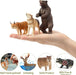 Toymany 12PCS North American Forest Animal Figurines, Realistic Jungle Animal Set Includes Raccoon,Lynx,Wolf,Bear,Eagle, Educational Toy Cake Toppers Christmas Birthday Gift for Kids Toddlers