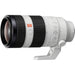 Sony FE 100-400mm f/4.5-5.6 GM OSS with 1.4x Teleconverter Kit — view 2