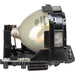 Panasonic PT-DX610 Projector Lamp (Dual Lamp) - Buy Direct & Save
