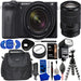 Sony Alpha a6600 Mirrorless Camera with 18-135mm Lens