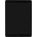 Apple 12.9&quot; iPad Pro (Mid 2017, 256GB, Wi-Fi Only) Gold