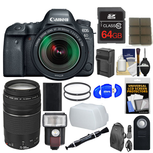 Canon EOS 6D Mark II DSLR Camera & EF 24-105mm IS STM + 75-300mm III Lens + 64GB Card + Backpack + Flash + Battery/Charger + Filters Kit Bundle