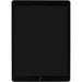 Apple 12.9&quot; iPad Pro (Mid 2017, 256GB, Wi-Fi Only) Gold