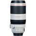 Canon EF 100-400mm f/4.5-5.6L IS II USM Lens