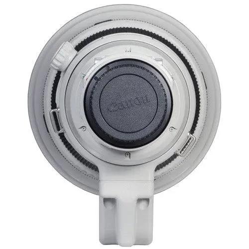 Canon EF 400mm f/2.8L IS II USM Lens