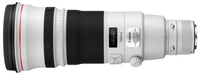 Canon EF 500mm f/4L IS II USM Lens