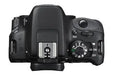 Canon EOS Rebel SL1/250D (SL3) DSLR Camera -Body Only