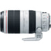 Canon EF 100-400mm f/4.5-5.6L IS II USM Lens with Premium Accessory Bundle