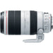 Canon EF 100-400mm f/4.5-5.6L IS II USM Lens