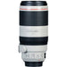 Canon EF 100-400mm f/4.5-5.6L IS II USM Lens