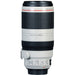 Canon EF 100-400mm f/4.5-5.6L IS II USM Lens with Premium Accessory Bundle