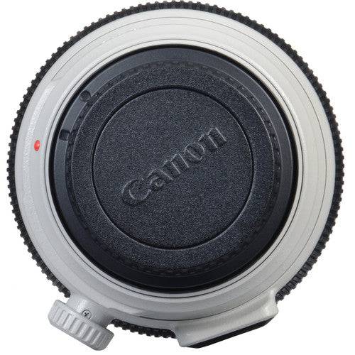 Canon EF 100-400mm f/4.5-5.6L IS II USM Lens