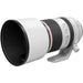 Canon RF 70-200mm f/4L IS USM Lens