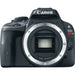 Canon EOS Rebel SL1/250D (SL3) DSLR Camera -Body Only