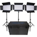 Dracast LED2000 Kala Bi-Color LED 3-Light Kit