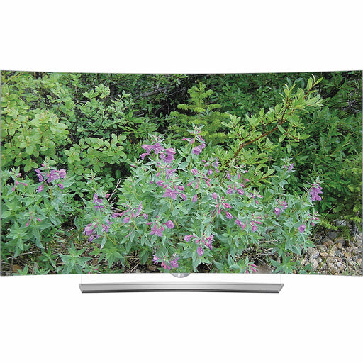 LG EG9600 Series 55"-Class 4K Smart Curved OLED 3D TV