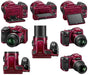 Nikon COOLPIX L830 16 MP CMOS Digital Camera with 34x Zoom NIKKOR Lens and Full 1080p HD Video (Multiple Colors)