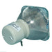Optoma HD25 - Genuine OEM Philips projector bare bulb replacement