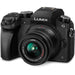 Panasonic Lumix DMC-GF2-Micro Four Thirds W/14-42mm Lens