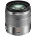 Panasonic Lumix G Vario 14-140mm f/3.5-5.6 ASPH. POWER O.I.S. Lens (Silver/Black)