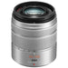 Panasonic Lumix G Vario 45-150mm f/4-5.6 ASPH. MEGA O.I.S. Lens (Silver)