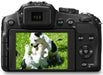 Panasonic Lumix DMC-FZ70 Digital Camera