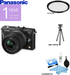 Panasonic Lumix DMC-GF2-Micro Four Thirds W/14-42mm Lens