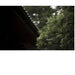 Sony FE 85mm f/1.4 GM Lens USA