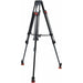 Sachtler 0750 FSB-8T Tripod System with Speed Lock 75 Tripod