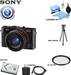 Sony Cyber-shot DSC-RX1 Full Frame Compact Digital Camera USA