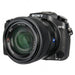 Sony DSCRX10/B CyberShot 20.2 MP Digital Still Camera with 3-Inch LCD