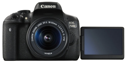Canon EOS Rebel T6i/800D DSLR Camera with 18-55mm Lens with Additional Accessories Bundle