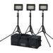 ikan iLED312-v2 3-Point Light Kit