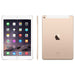 Apple iPad Air 2 16GB Wi-Fi + Cellular